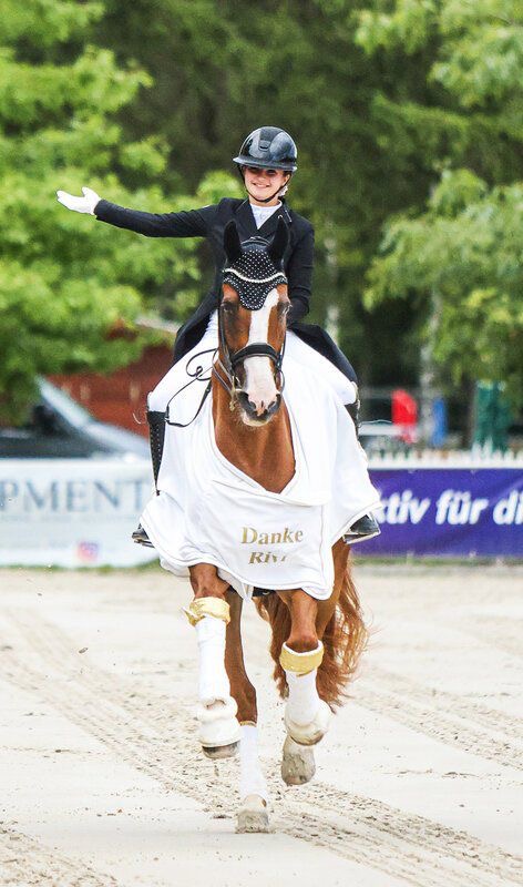 0e2f5c31 3622 414c bd39 61b68b999740