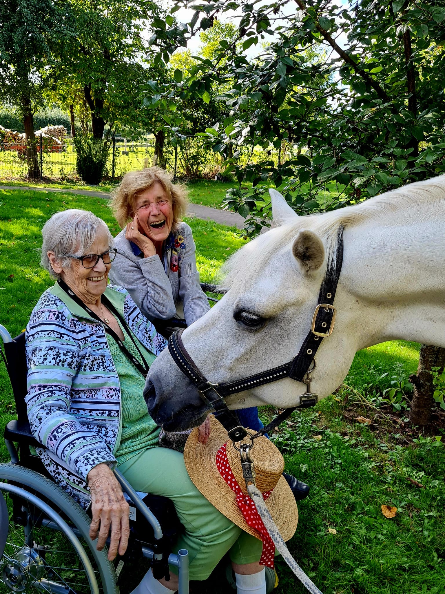 Besuch im Seniorenheim privat