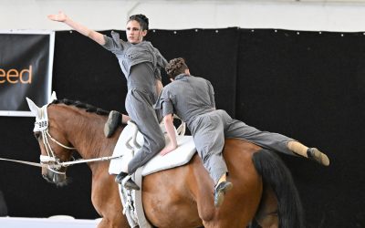 Hessische Erfolge beim Preis der Besten in Warendorf