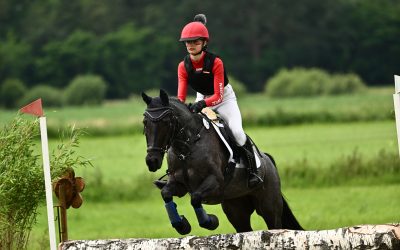 Goldene Schärpe Ponys 2026: Drei hessische Teams in Löningen vertreten