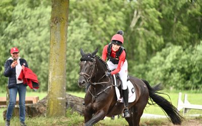 Goldene Schärpe Pferde 2026 – Hessischer Reiternachwuchs überzeugt in Löningen-Ehren