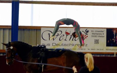 Hessische Meisterschaften Voltigieren 2026: Grandioser Sport und neue Impulse für den Nachwuchs