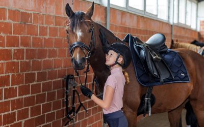 Umsatzsteuer auf Reitunterricht: Das müssen Reitvereine jetzt wissen