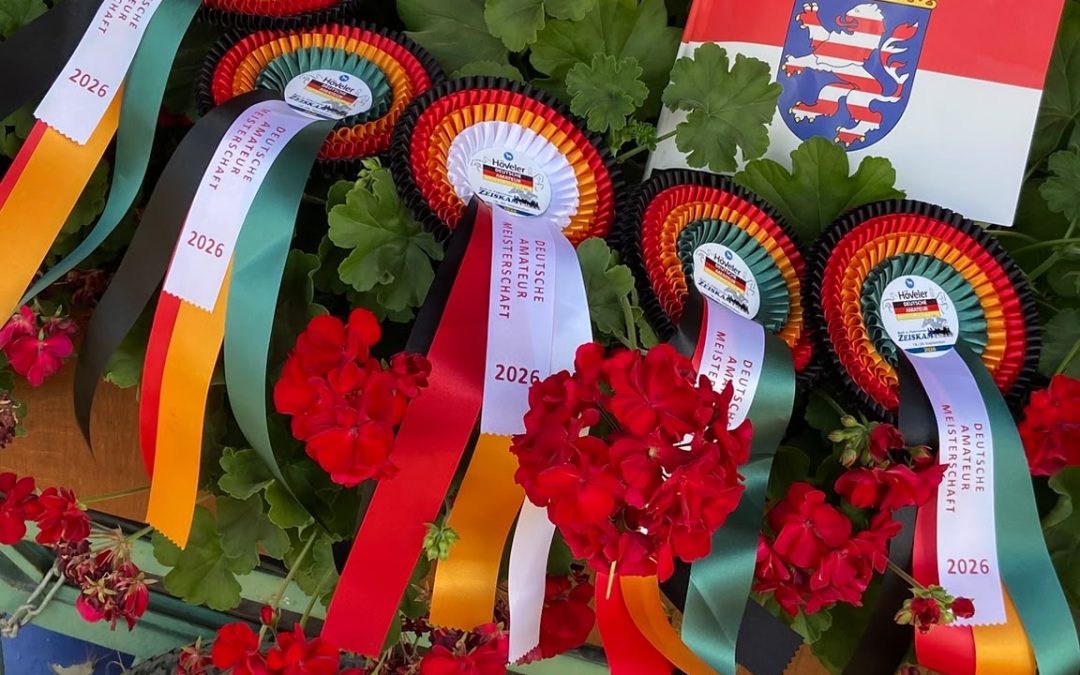 H&ouml;veler DAM und DAC Dressur und Springen 2026: 11 Hessische Teilnehmer bei wichtigen Meisterschaften