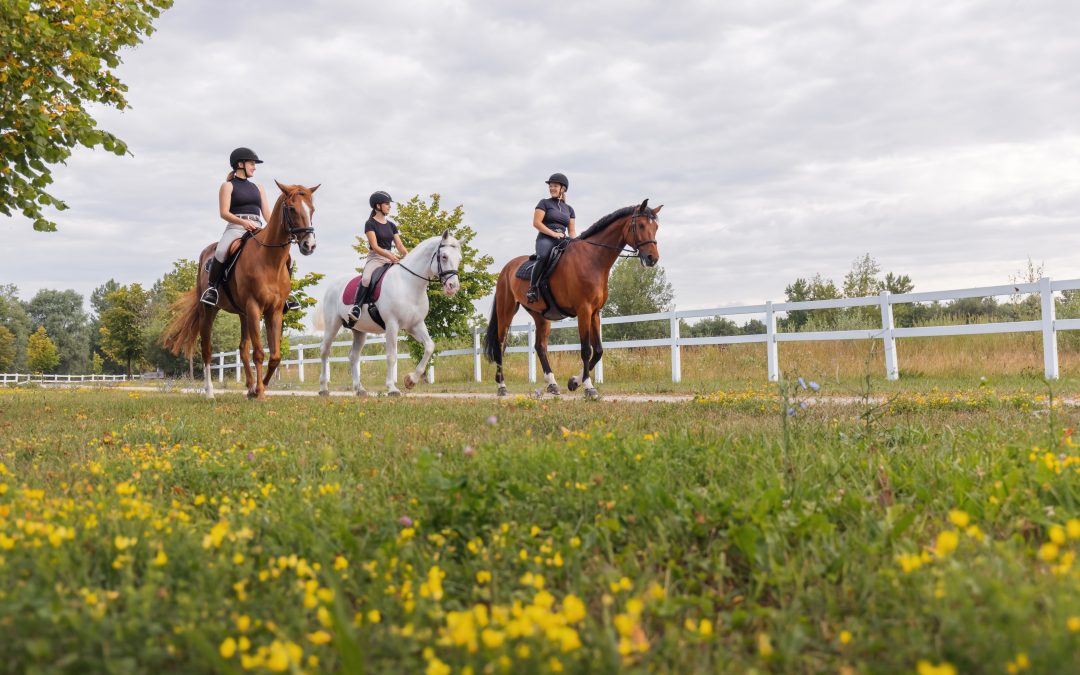 Kostenfreies Webinar f&uuml;r Reitvereine: &bdquo;Brauchen wir noch Reitvereine &ndash; oder brauchen wir sie gerade jetzt?&ldquo;