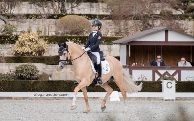 Kadersichtung Dressur Ponys & Fördergruppe Hessen-Nassau