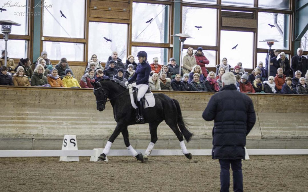 Pferdegerecht ausbilden: Tierschutz zwischen Theorie und Trainingsalltag