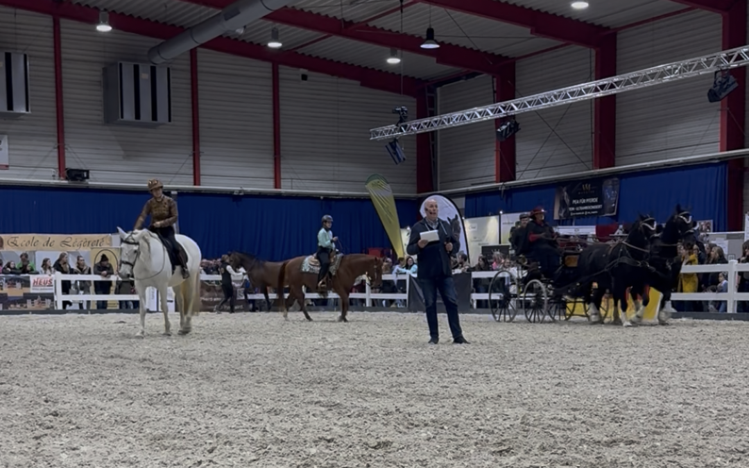 Pferdesport in seiner ganzen Vielfalt &ndash; Verband setzt auf der Reitsportmesse Gie&szlig;en ein Zeichen f&uuml;r Gemeinschaft